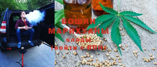 прущие грибы Алексеевка