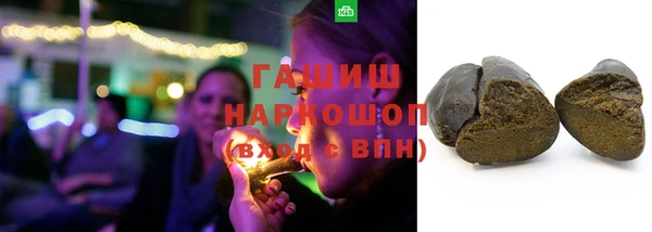 прущие грибы Алзамай