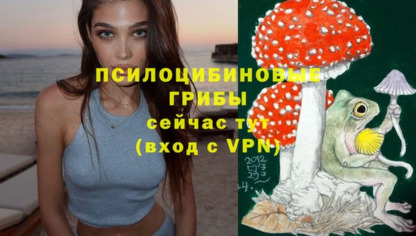 прущие грибы Алексеевка