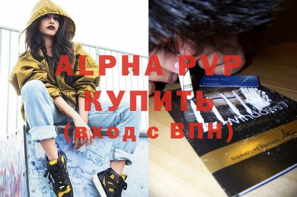 винт Алексин
