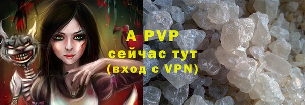 прущие грибы Алзамай