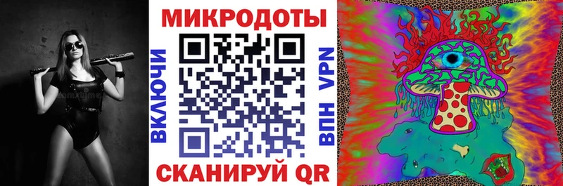 где продают наркотики  Данилов  Галлюциногенные грибы мицелий 